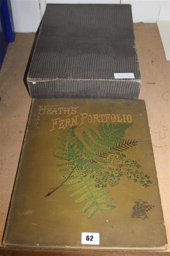 1 Volume - Heaths Fern portfolio